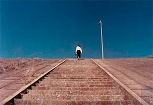 Brasiliários, o filme