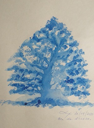 A ilustração é uma aquarela do autor